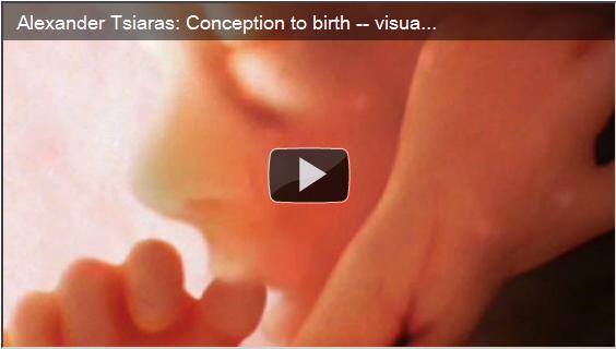 Alexander Tsiaras - Conception to birth - visualized