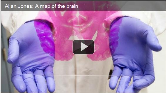 Allan Jones - A map of the brain